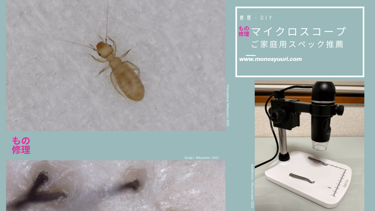 Koolertron デジタル顕微鏡（300倍・500万画素）で撮影したチャタテムシ（Psocoptera・茶立虫）の顕微鏡観察画像。体長1mm、ファブリック素材のブラインドで発見。肉眼・虫眼鏡・ルーペでは確認困難な虫を家庭用USB顕微鏡で撮影した実例。死骸がアレルギーの原因になることもある