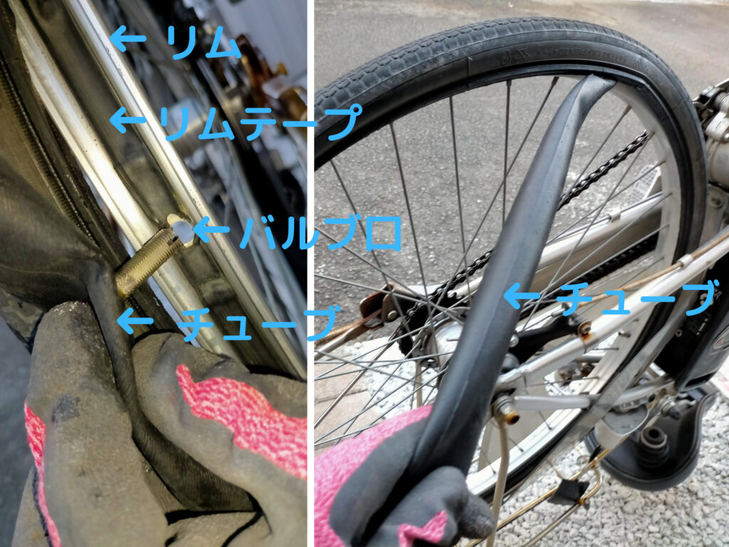 自転車車輪内側の各部名称図解。リム（金属の輪）・リムテープ（チューブ保護テープ）・バルブ口（バルブホール）・チューブ（インナーチューブ）の位置と名称を図示。チューブ取り出し・組み戻し手順の理解を助ける内部構造図