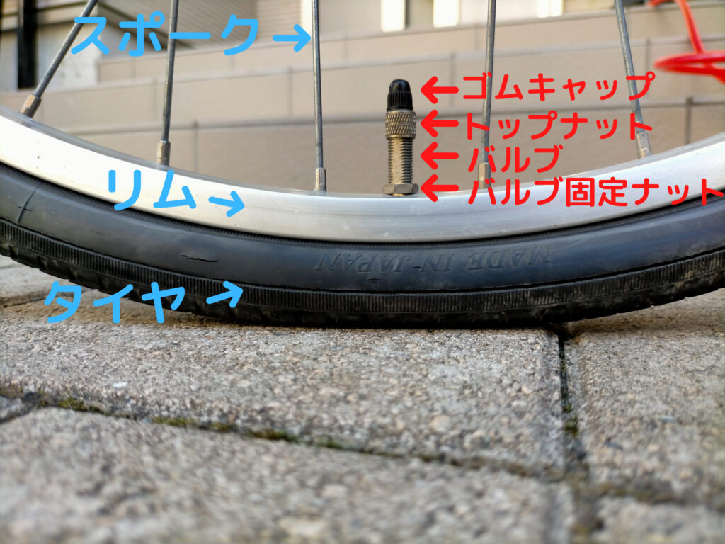 自転車車輪外側の各部名称図解。ゴムキャップ・トップナット・バルブ（英式）・バルブ固定ナット（リムナット）・スポーク・リム・タイヤの位置と名称を図示。パンク修理手順の理解を助ける部品名称リファレンス
