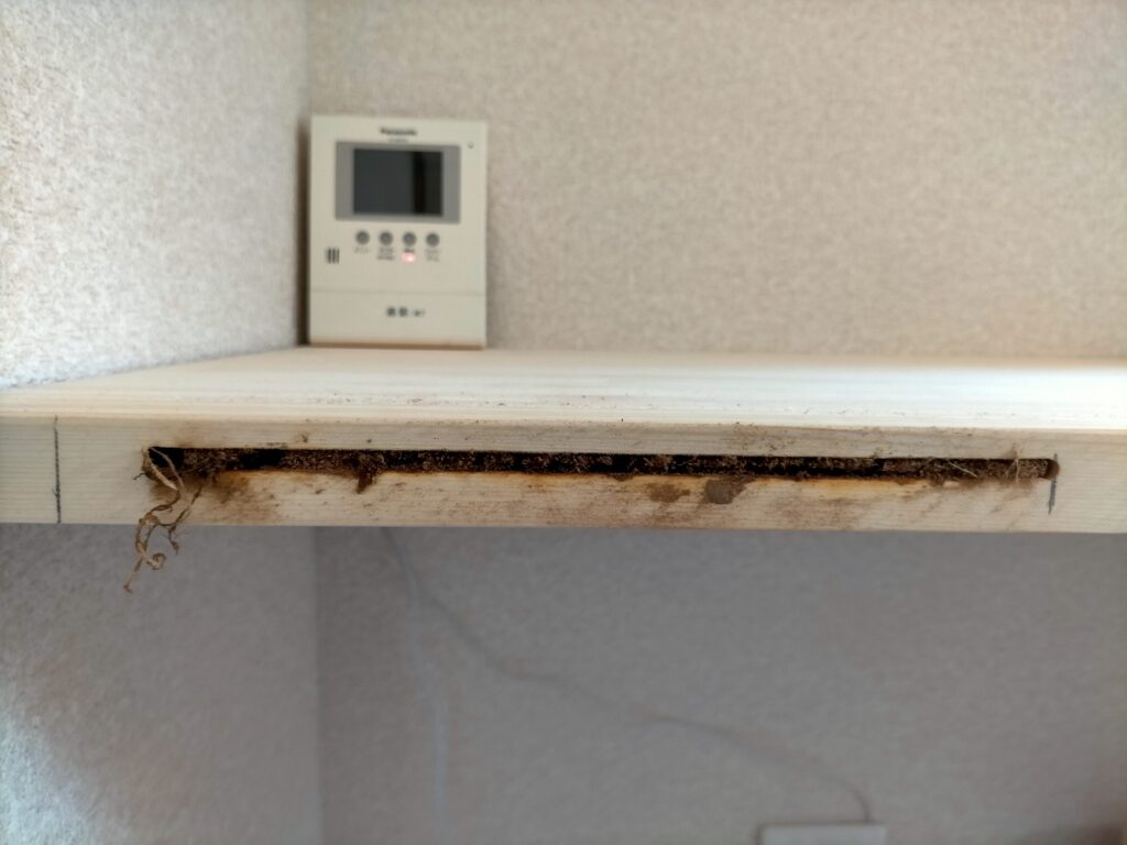 DIY雇いざね加工ステップ1・メイン机（30mm厚集成材）への1回目のメスザネ溝加工。6mmトリマービットでガイドを固定した状態で溝を削る。深さ11mm・長さ255mm。このSTEP1でメイン机とサブ机の両方に1回目の溝を入れてからトリマーガイドを6mmずらすことで段差なく接合できる