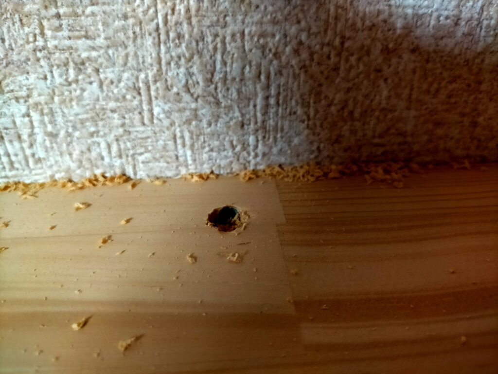 DIYザグリ穴隠しステップ4・5×80mmコーススレッドでビス固定後に残ったΦ10mmのザグリ穴(深さ約10mm)の状態。ビス頭が穴の底に収まり板面より凹んでいる。この穴に木工ボンドを塗ってから自作の木ダボを差し込んで塞ぐ次工程への準備段階