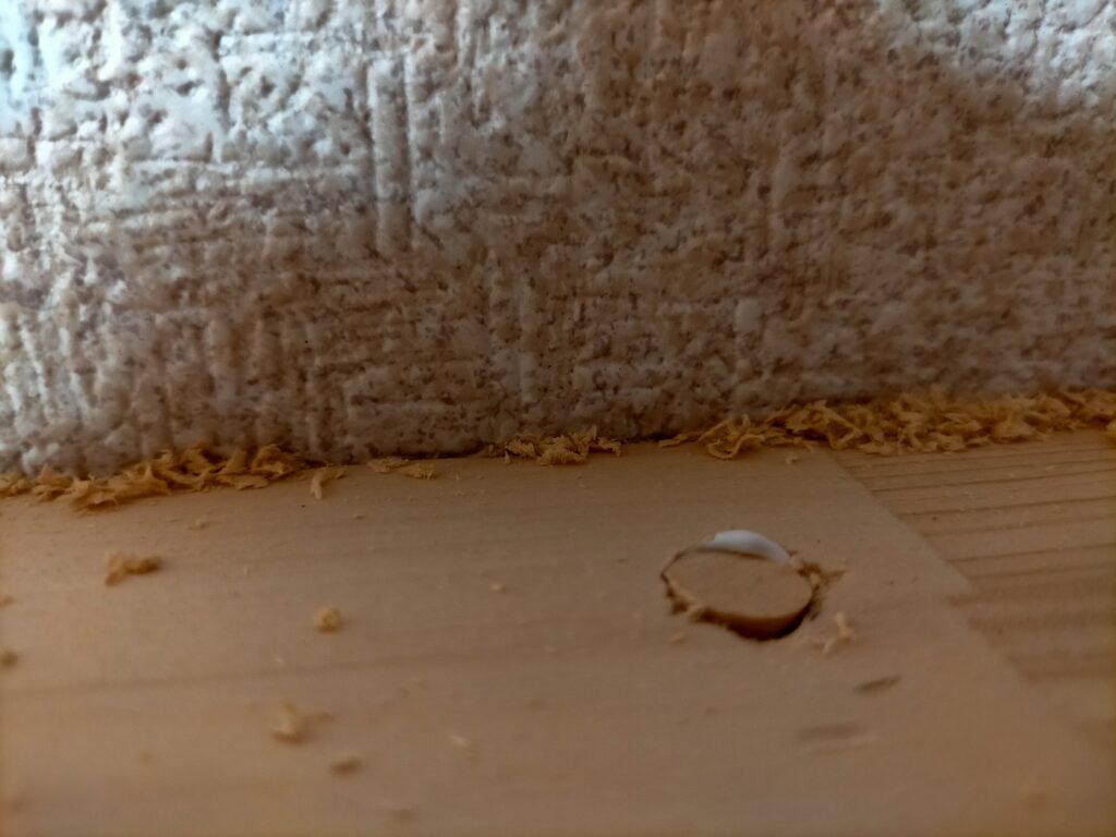 DIYザグリ穴隠しステップ6・木工ボンドを塗ったΦ10mmのザグリ穴に自作の木ダボ(Φ10mm・同一素材)を差し込んでいる工程。木ダボは板面より少し飛び出す長さに折り取ってある。隙間がある場合はボンドで錬った木くずを同時に充填する。ボンド硬化後に板面と面一になるよう削る