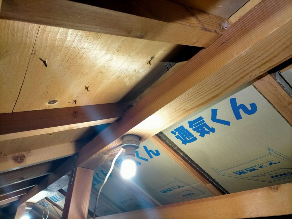 棟木にかかる全ての垂木に通気路の穴をあけた状態(棟換気へ繋がる)