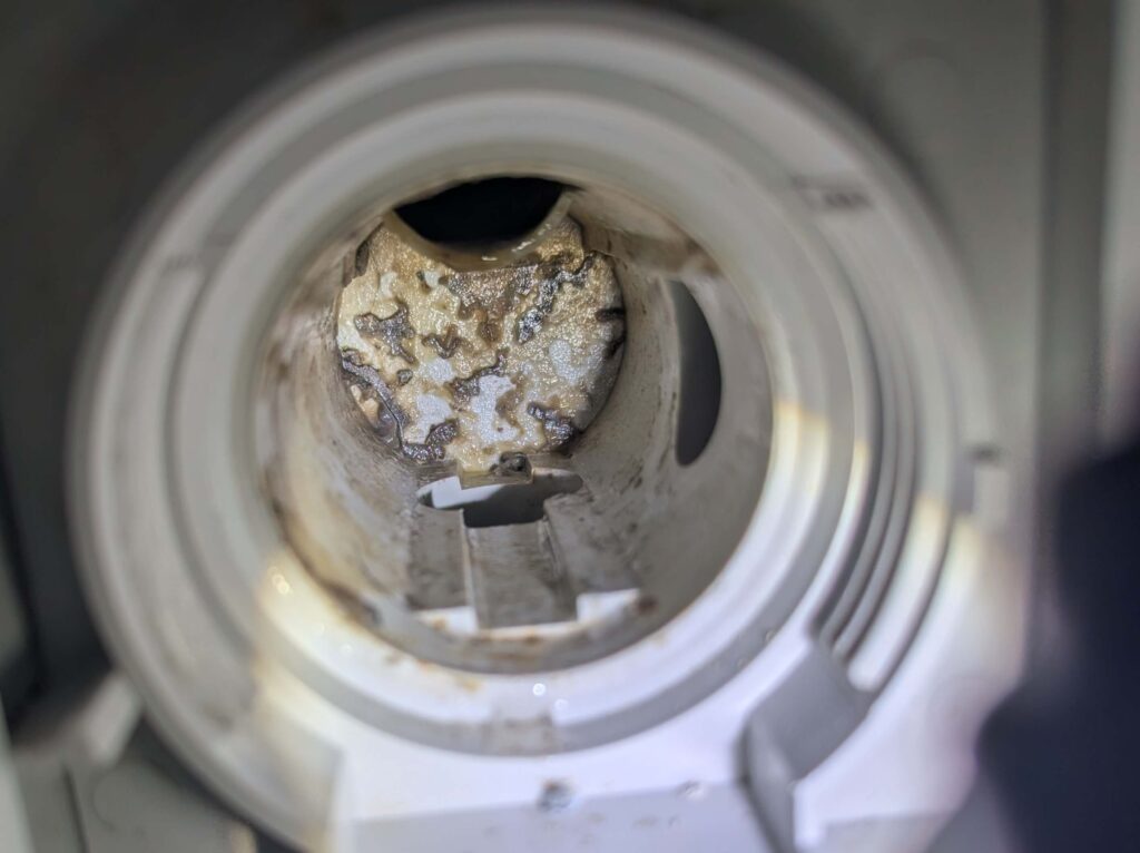 糸くずフィルター（洗濯機側）清掃前