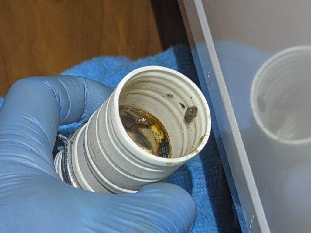 洗濯機の排水ホース内部に蓄積した糸くずや洗剤カスによるヘドロ状の汚れ