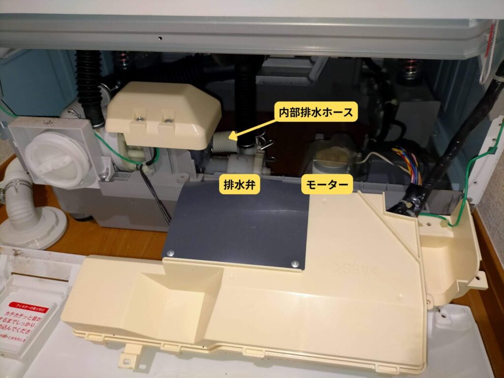 洗濯機内部の排水ホースと排水弁の位置