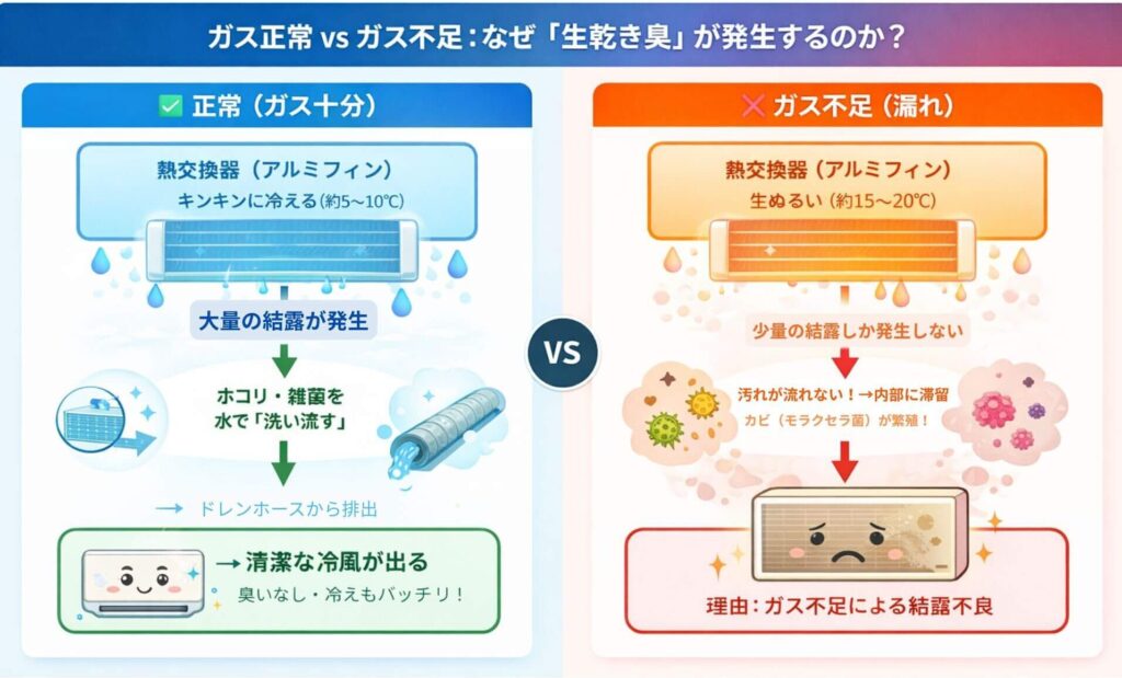 ガス正常VSガス不足：なぜ「生乾き臭」が発生するのか