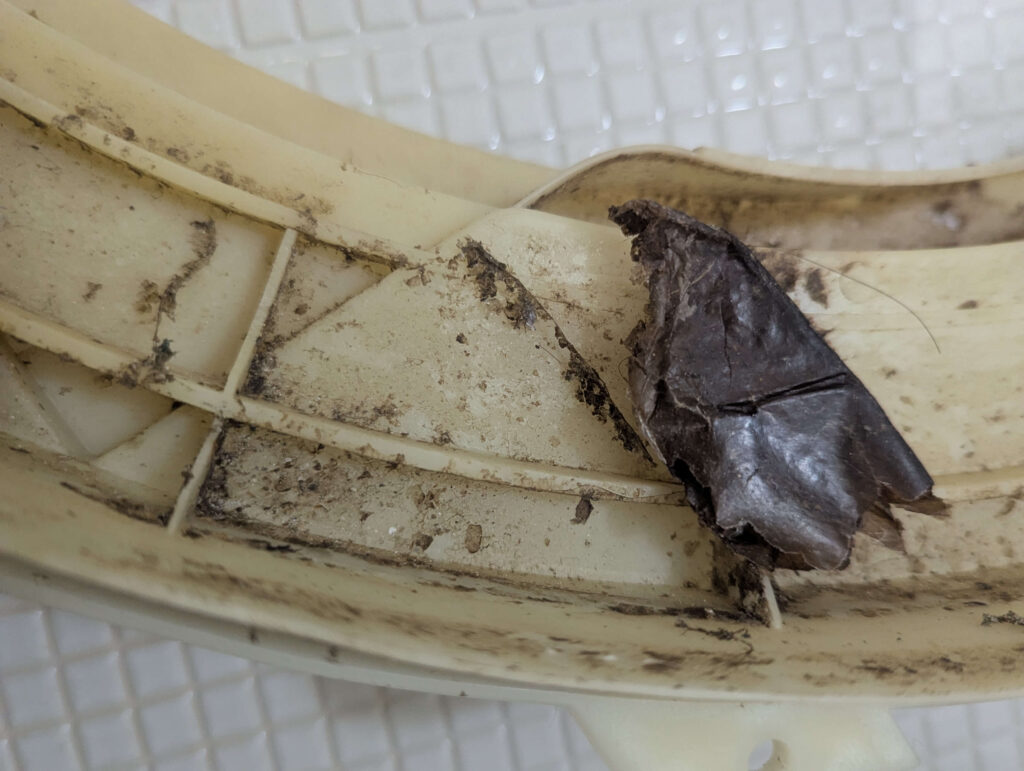 東芝 TW-160SCH ドラム式洗濯機の外槽前カバー内側に付着した、柔軟剤・洗剤カスがヘドロ化して乾燥した「乾燥ワカメ」状の汚れのクローズアップ。黒いワカメが洗濯物に付着する直接的な原因物質。歯ブラシで丁寧に除去が必要