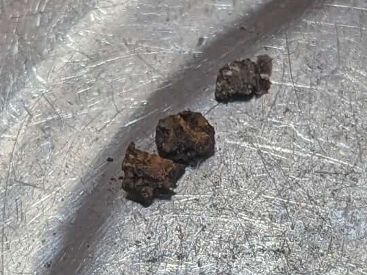 東芝 TW-160SCH ドラム式洗濯機の糸くずフィルターに入っていた洗濯槽固定ボルトのサビ破片