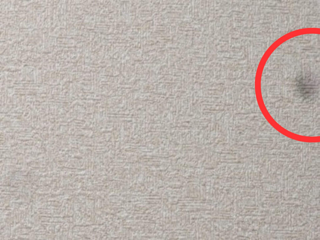 Pixel 7の広角カメラで撮影した写真に写り込むセンサーゴミ（黒い点）