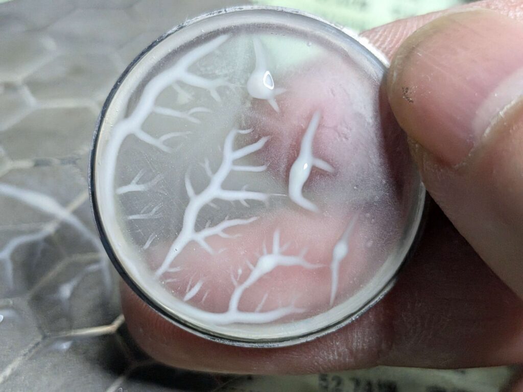 600番のダイヤモンドヤスリで表面全体を平らに削っている途中の白くすりガラス状になったセイコー5アクタスの風防砥面